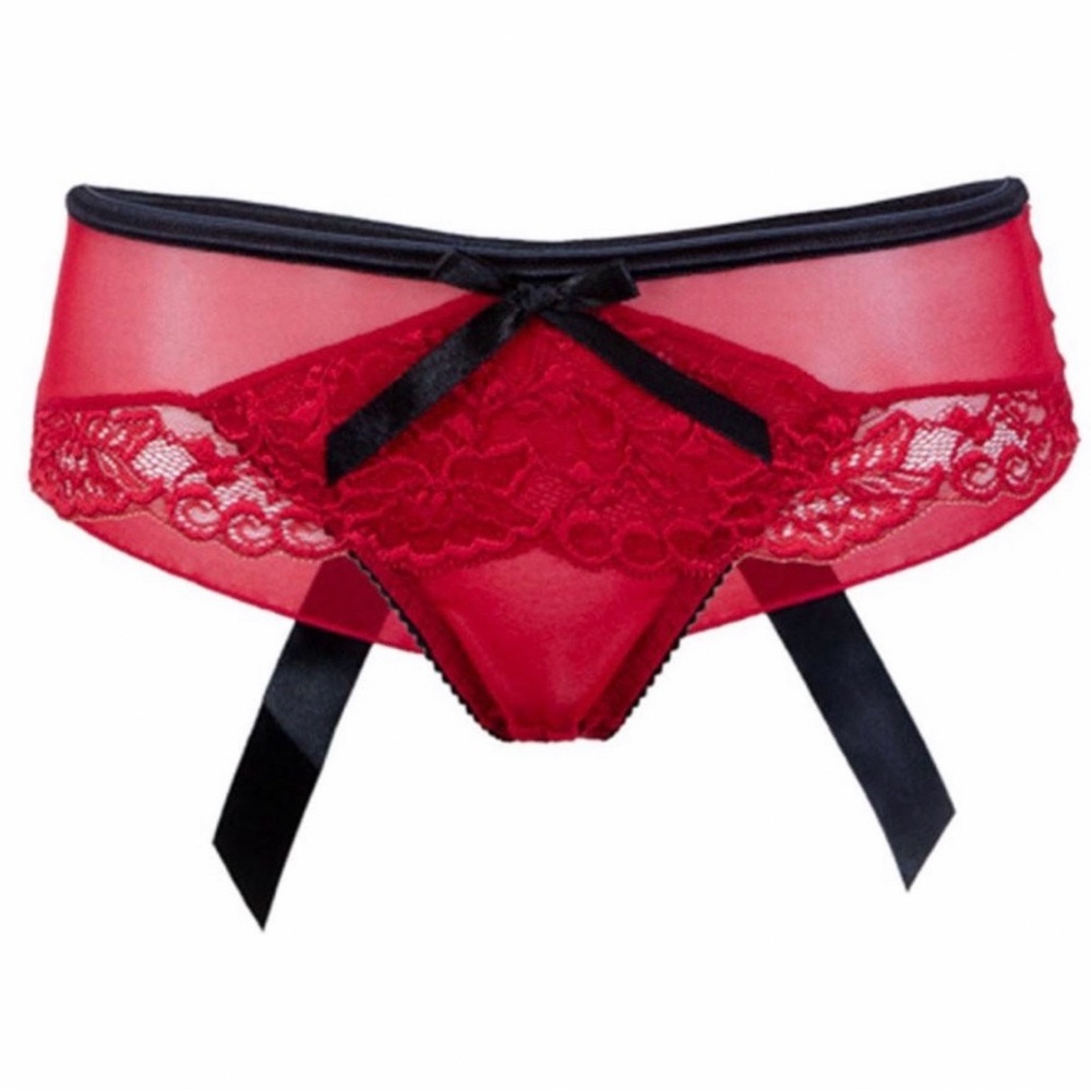 BLUEBELLA Eloise Brazilian Satin Bows Chiffon & Lace Thong Panties US Sz L NWT - Picture 8 of 16